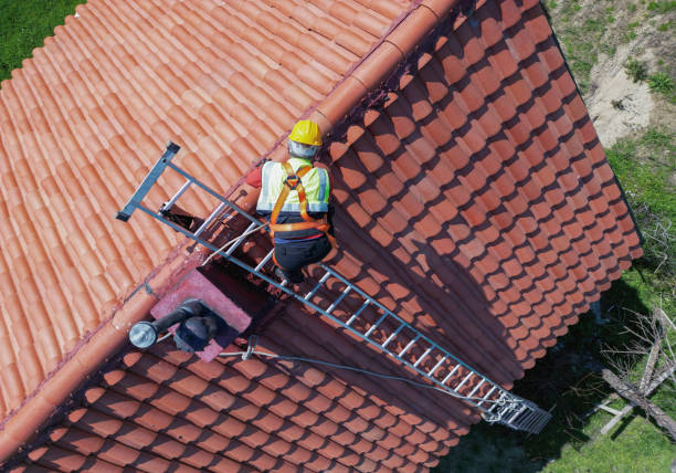 Best Roof Moss and Algae Removal  in Lake Lorelei, OH